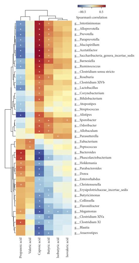 Heat Map Of The Spearman Correlation Analysis Between The Gut