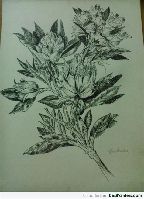 Pencil Sketch Of Flowers - Desi Painters