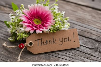 Thank You Card Colourful Flowers Stock Photo Shutterstock