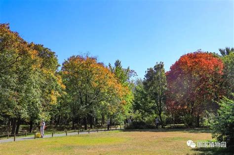 北风起 秋意浓 今日最低气温7℃ 注意添衣防感冒北京时间