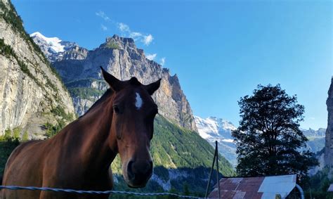 Lauterbrunnen - Our Trip Abroad