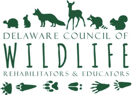 Contact Delaware Council Of Wildlife