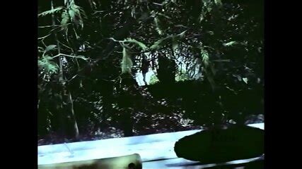 San Francisco Gigolo USA 1972 Rene Bond Linda York Linda Blonde