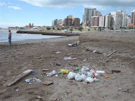 Un Da O Irreversible Al Medio Ambiente Las Consecuencias De Los