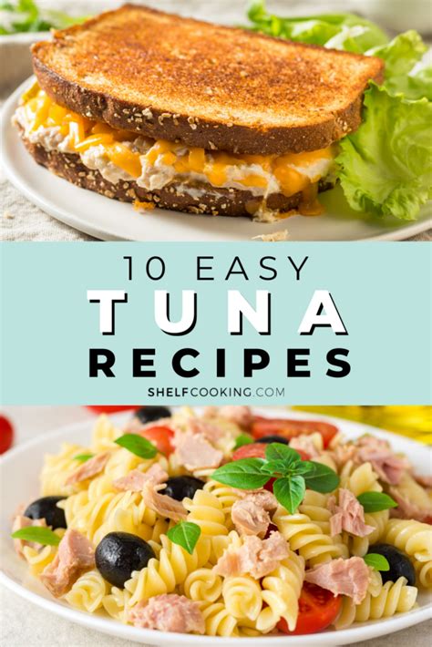 10 Easy Tuna Recipes That Will Save You Time & Money - Shelf Cooking