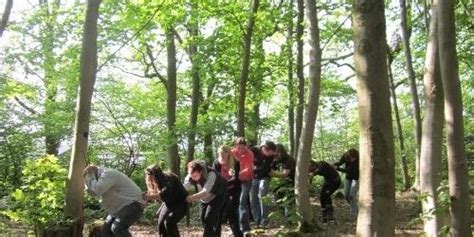 Level 1 Introduction To Forest School