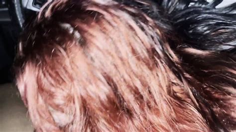 Car Sucking Bbc Amateur