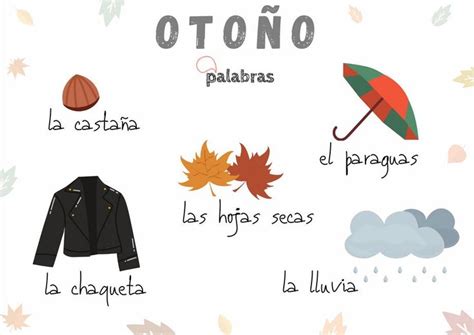 El Oto O En Oto O Vocabulario Palabras