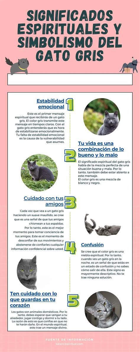 9 Significados Espirituales del Gato Gris Qué simboliza