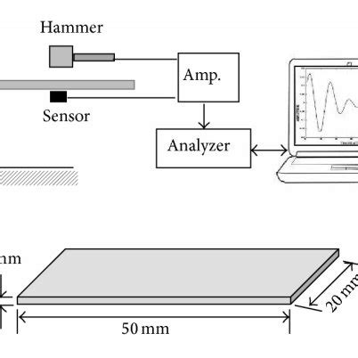 Schematic Diagrams Of Experimental Setup For The Damping Test