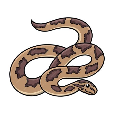 Premium Vector Python Vector Illustration