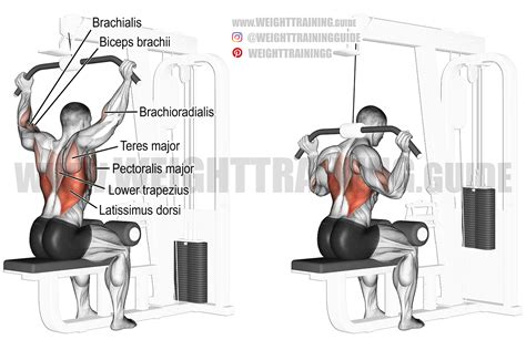 Lat Pulldown Vs Seated Row Major Differences Explained