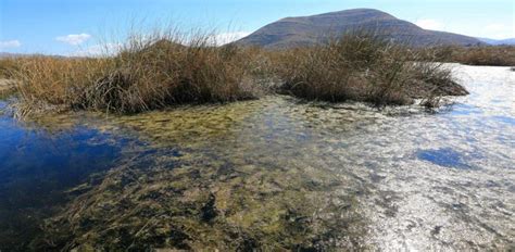 El Lago Titicaca En Peligro