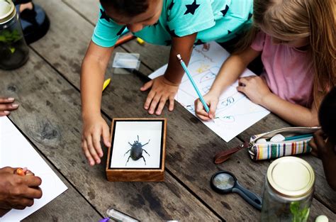 7 Extracurricular Group Activities for Brainy Kids