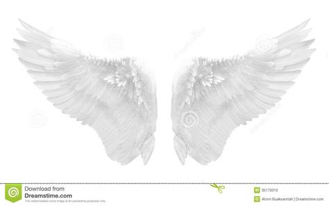 White Angel Wings Side View