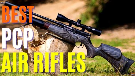 Top 10 Best Pcp Air Rifle In The World 2024 Best Air Rifles 2024