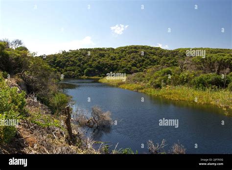 Darby River Is In Wilsons Promontory National Park Close To Tongue