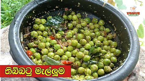 ගමේ රසට තිබ්බටු මැල්ලුම් තිත්ත නැතුව හදමු Thibbatu Mellum Youtube