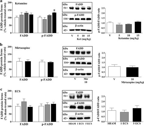 A Acute Effects Of Ketamine 5 10 And 15 Mg Kg I P 1 H On FADD