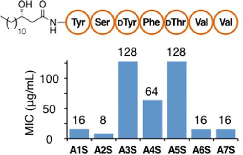 Human Microbiome Inspired Antibiotics with Improved β Lactam Synergy