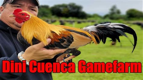 Lets Visit The Farm Of Dini Cuenca Gamefarm Youtube