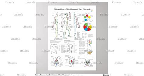 Shiatsuacupuncturemeridiansandharadiagnosisposter