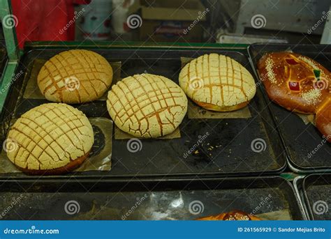 Concha, Typical Mexican Sweet Bread Stock Image - Image of closeup ...