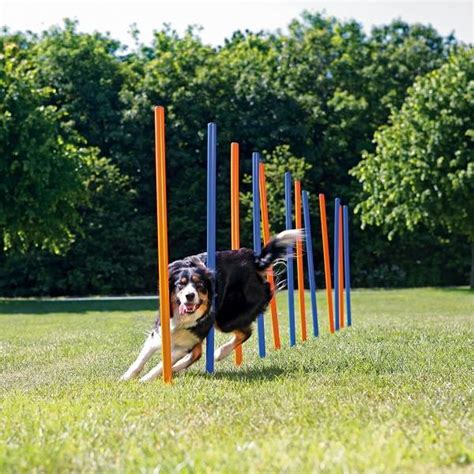 Trixie Agility Training Hond Slalom Pets Gifts