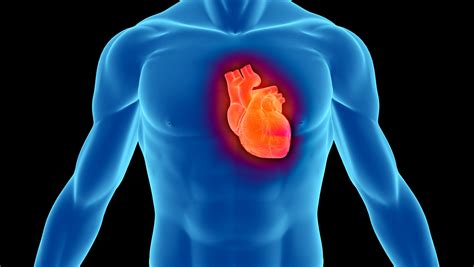 Listen to Your Heart – Know the Symptoms of Valvular Heart Disease