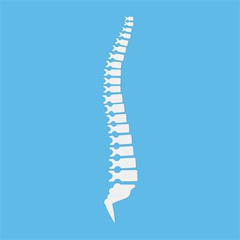 Premium Vector Backbone Icon Human Spine Template Vector Illustration