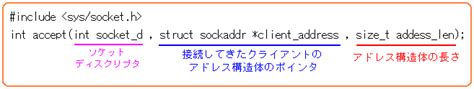 C言語 ソケット Socket でネットワークプログラム入門