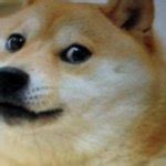 Doge Meme Generator - Imgflip