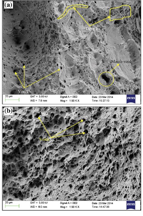 Sem Fractographs Showing The Tensile Tested Samples Of Aisi L