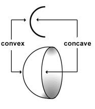 Concave Vs Convex Curve