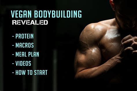 Vegan Bodybuilding Revealed Everything You Need To Know About Vegan Bodybuilding And How To