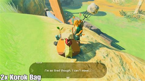 X Korok Bag At Hyrule Ridge Legend Zelda Tears Of The Kingdom Youtube