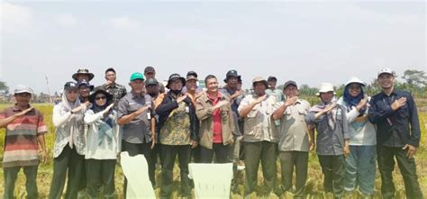 Berita Bsip Jawa Timur Bimbingan Teknis Lkp Dan Ffd Demplot Lkp Di