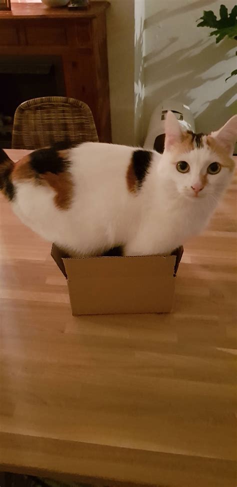 If It Fits I Sits Album On Imgur