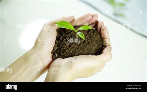 Hands Holding Soil Hi Res Stock Photography And Images Alamy