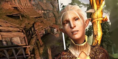 Dragon Age: Dalish Elves Vs. City Elves