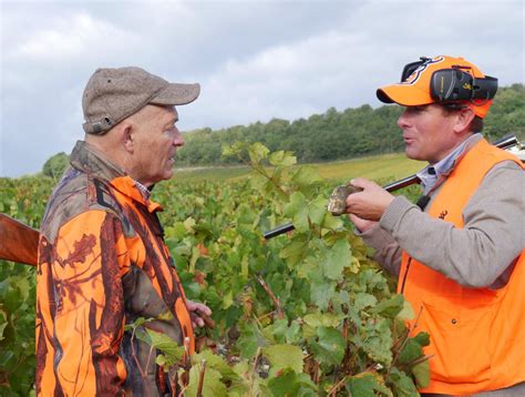 Saint Romain Chasse La Chasse La Grive Entre Passion Et Motion