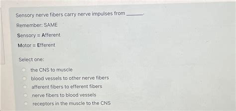 Solved Sensory nerve fibers carry nerve impulses | Chegg.com