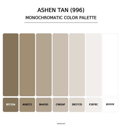 Benjamin Moore Ashen Tan 996 Paint Coordinating Colors And Palettes