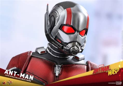 Hot Toys 1 6th Scale Ant Man Collectible Figure Ant Man And The Wasp Rio X Teir
