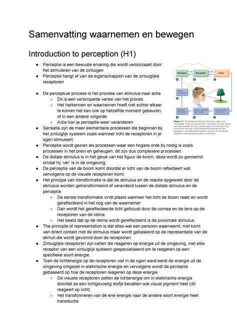 Samenvatting Waarnemen En Bewegen Samenvatting Waarnemen En Bewegen