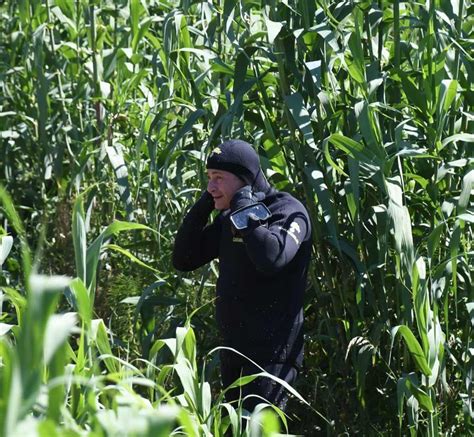 Caccia Allarma Del Delitto Nel Parmignola