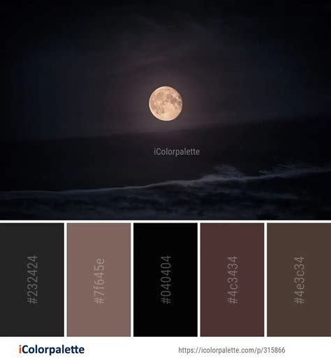 151 Moon Color Palette ideas in 2021 | iColorpalette