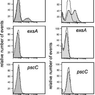 Cho Cell Contact Mediated Induction Of T Ss Gene Expression Requires A