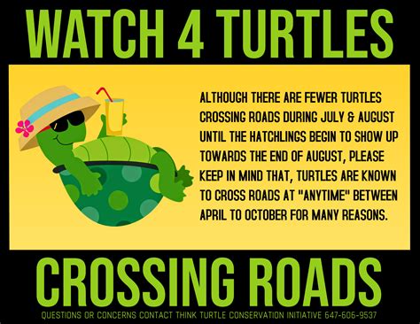 Watch 4 Turtles Crossing Roads – THINK TURTLE CONSERVATION INITIATIVE