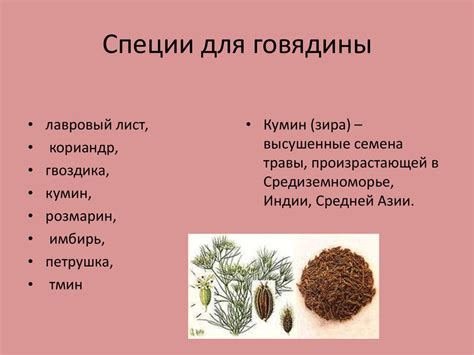 Сложные блюда из мяса - online presentation